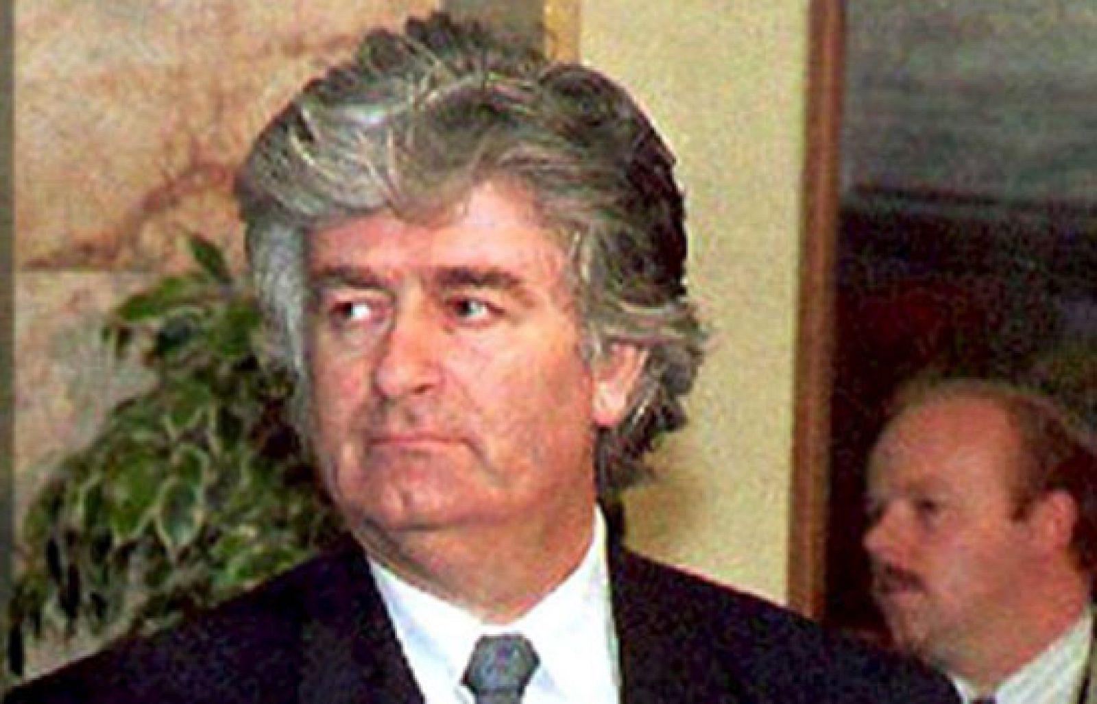 Biografía de Karadzic | Ver