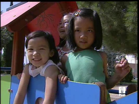  - Descienden las adopciones en España