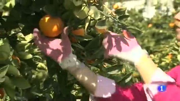 Noticias Andalucía - Andalucia en 2''-07/01/14