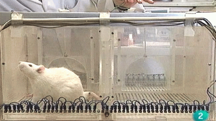 Emocionadamente - El asco