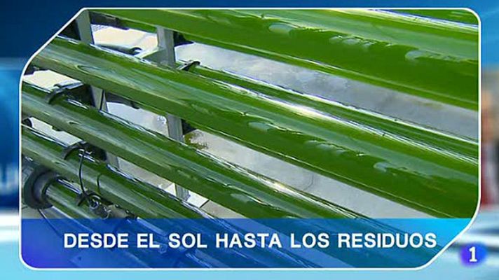 Telediario 1 - Las microalgas, ¿una alternativa al petróleo?