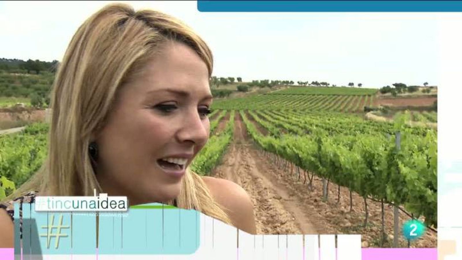 Tinc una idea - 12/01/2014