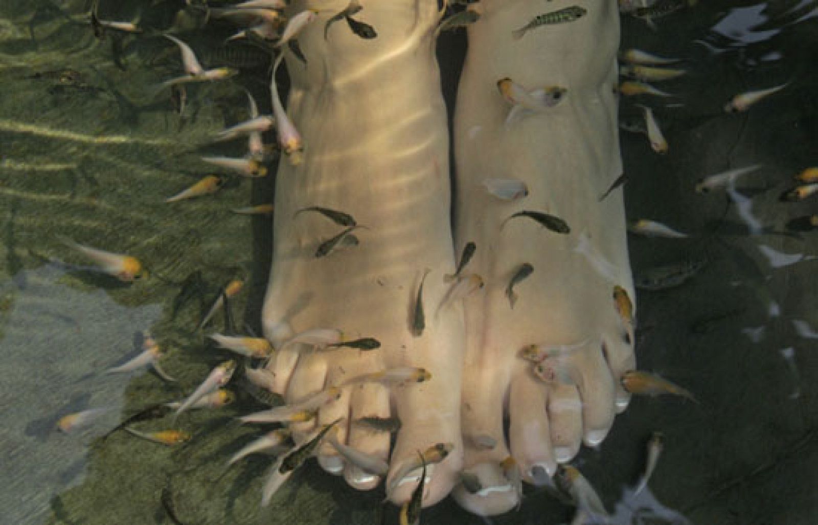 Una forma diferente de relajarse