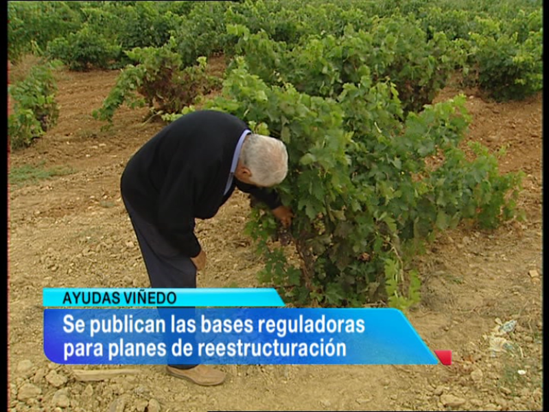 Telerioja en 2' - 10/01/14 | Ver