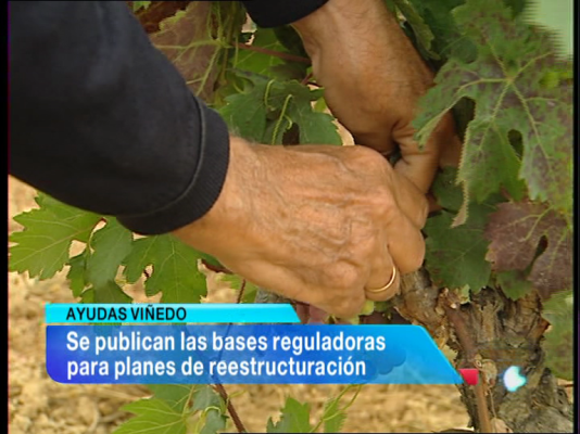 Informativo Telerioja - Informativo Telerioja 2 - 10/01/14