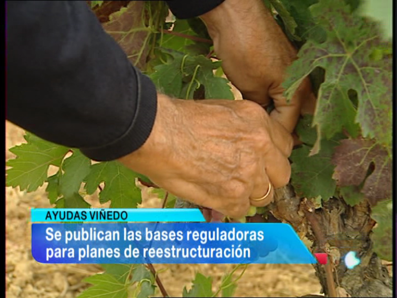 Informativo Telerioja 2 - 10/01/14 | Ver