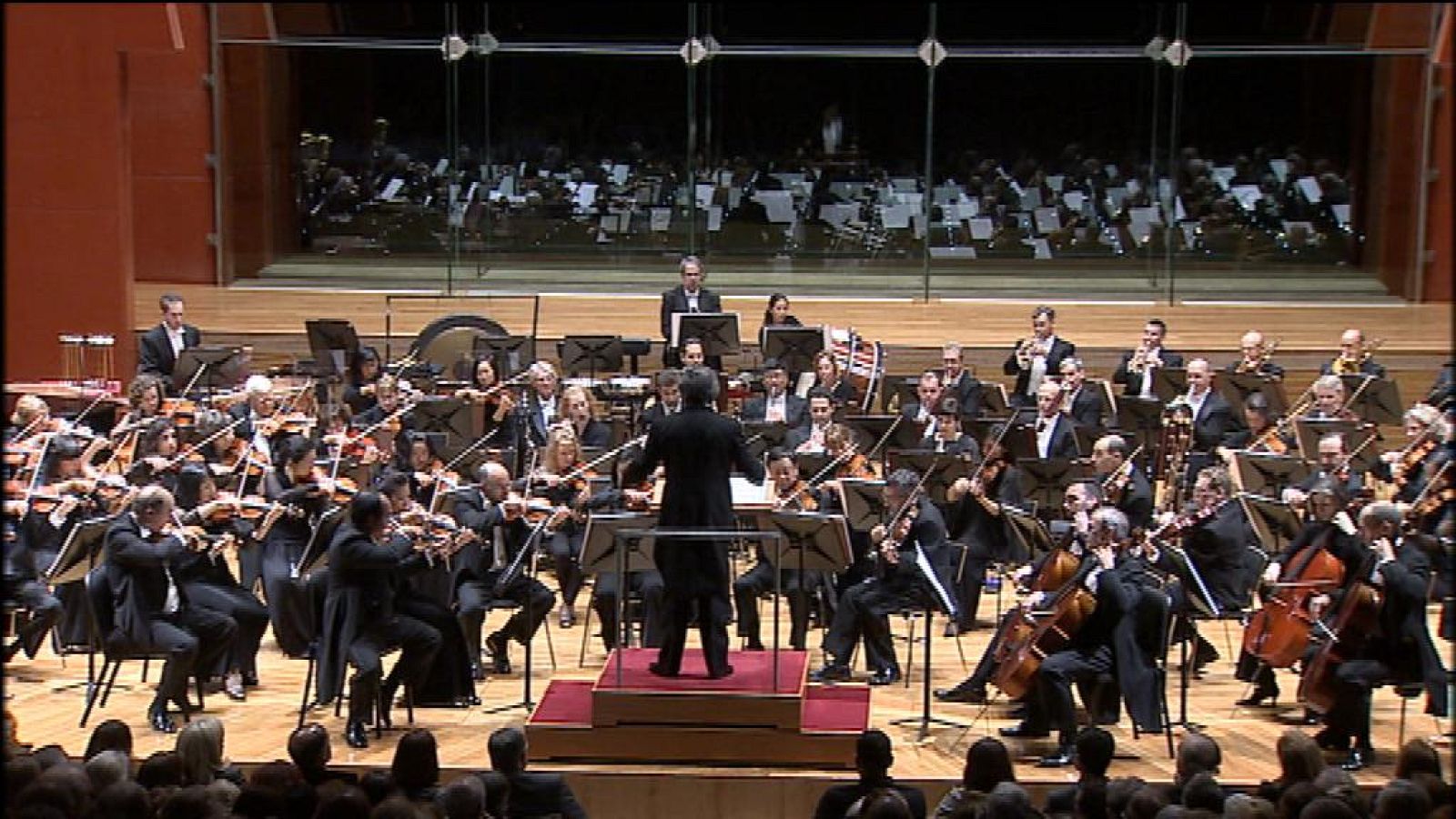 Telecanarias - 11/01/14 | Ver