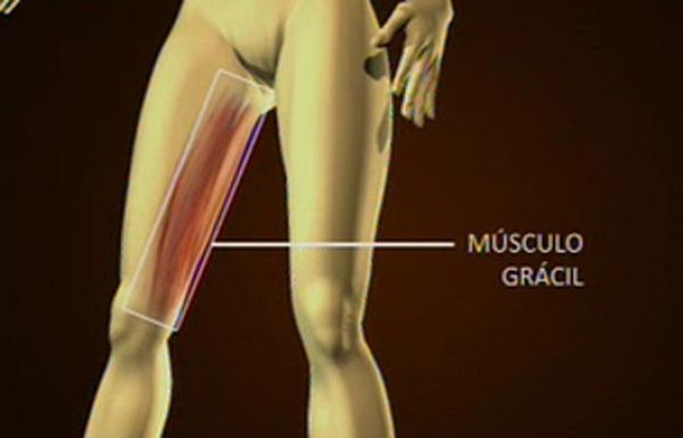  - Implantes de mama sacados del muslo