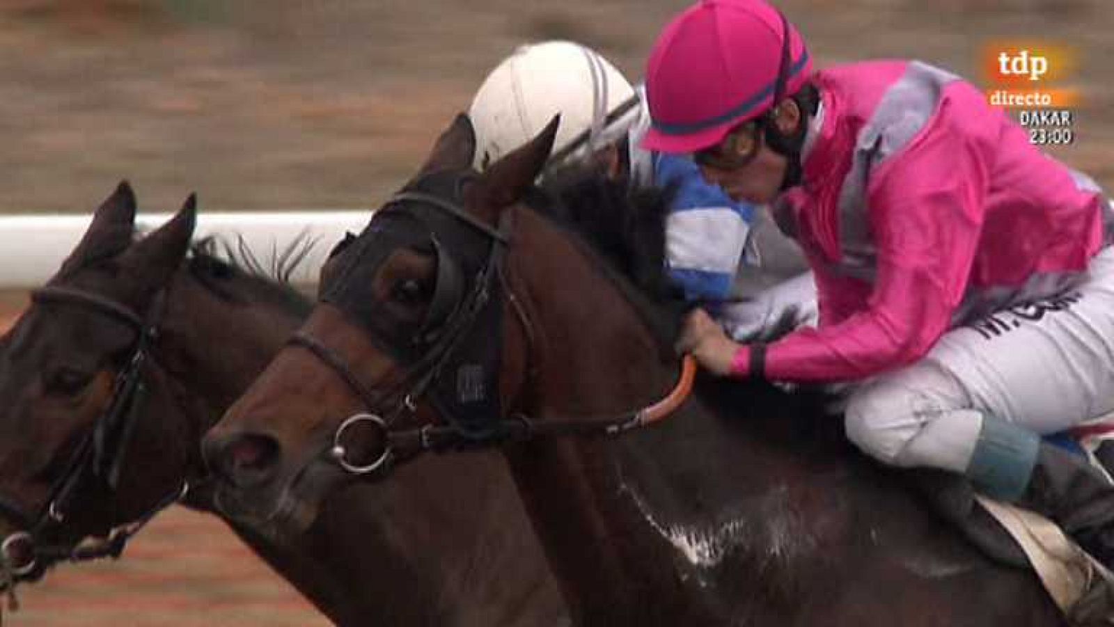 Turf - 12/01/14 - Ver ahora