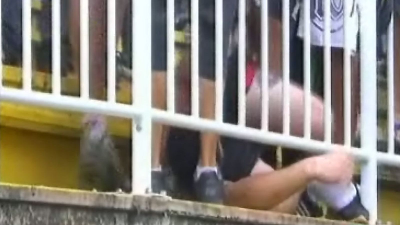 "Violencia explícita" en el TD