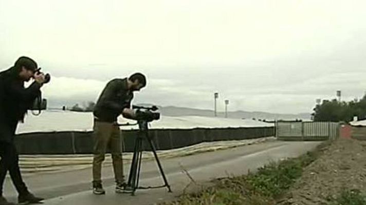 Telediario 1 - Detenido un hombre en Almería como presunto autor del asesinato de su expareja