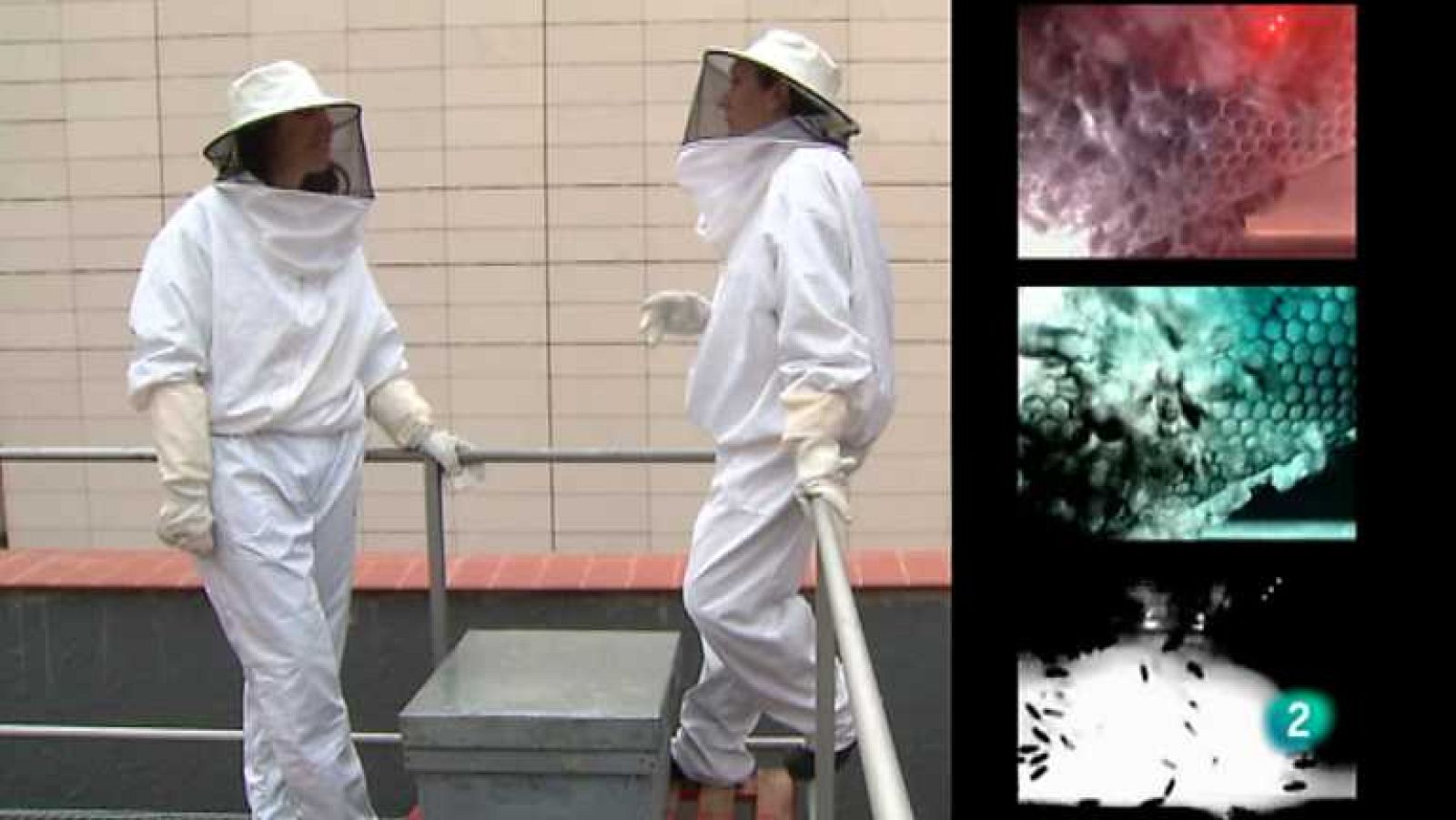 La aventura del saber - 14/01/14 - ver ahora