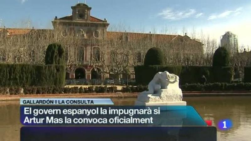 L'Informatiu  - 14/01/14