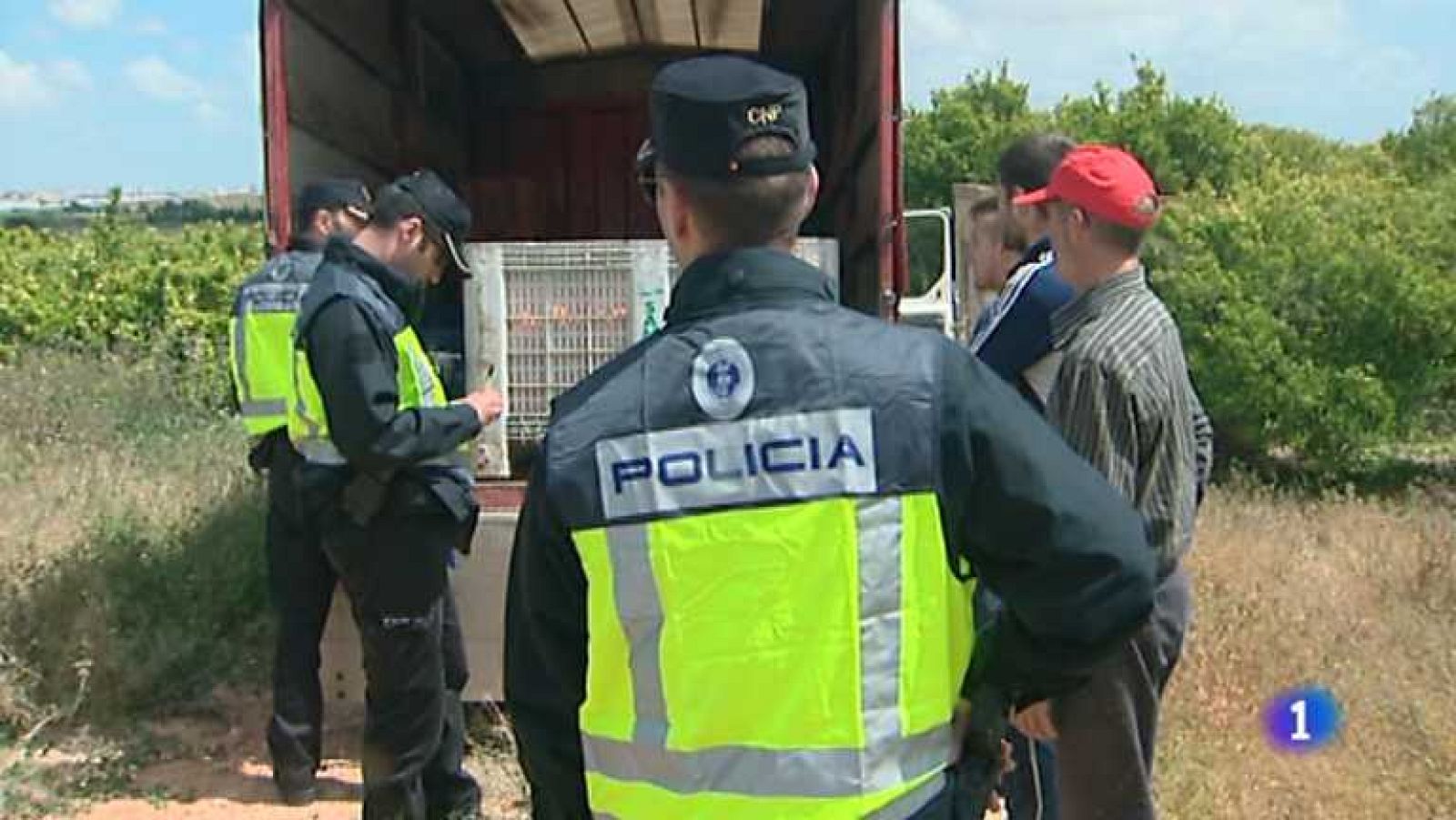 L'Informatiu - Comunitat Valenciana - 14/01/14 - Ver ahora