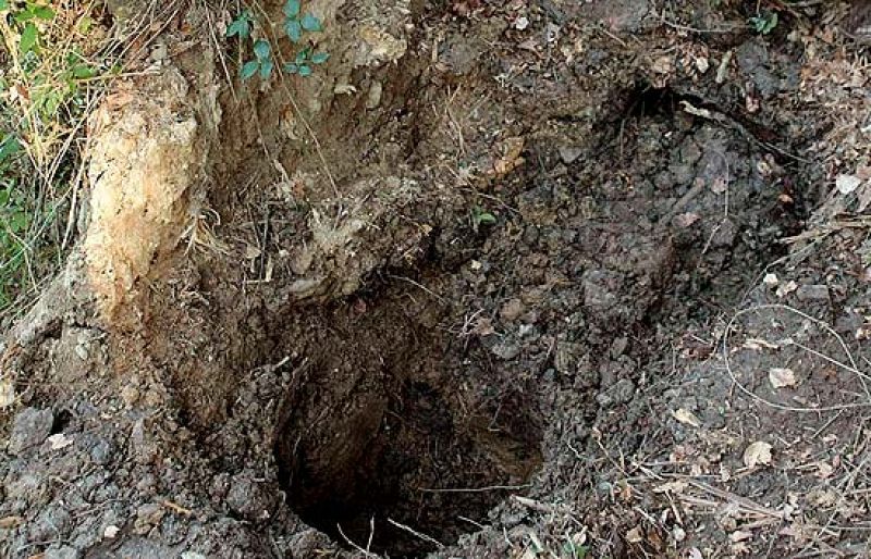 El zulo escondía 130 kilos de explosivos