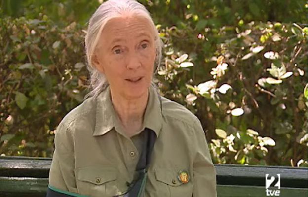 Ciencia y tecnología en Rtve.es - Entrevista a Jane Goodall