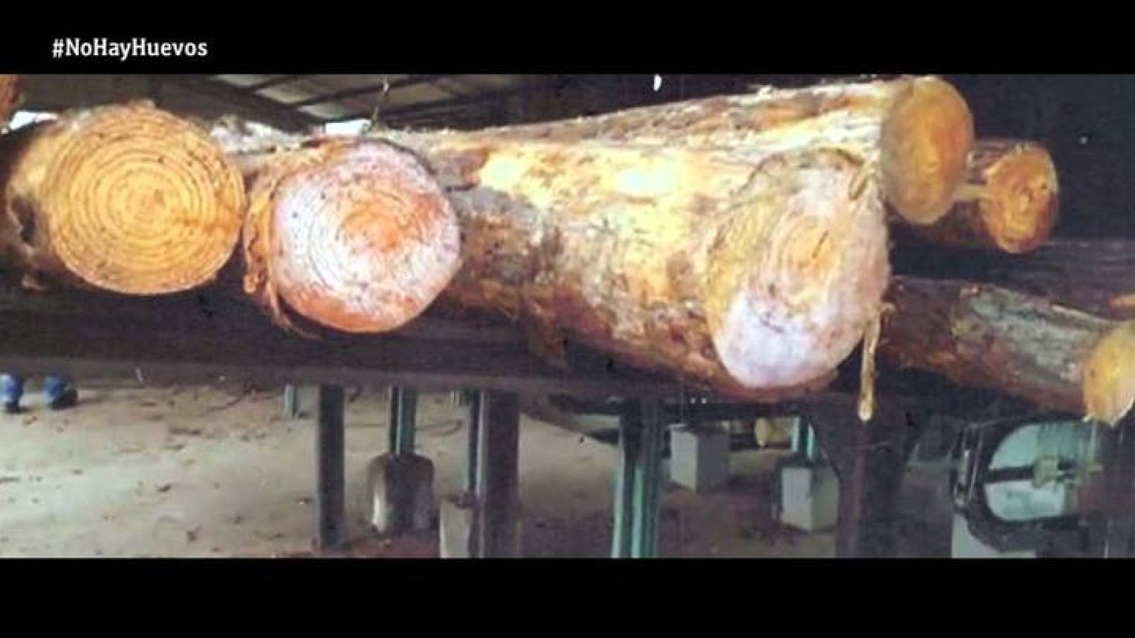 Fiesta Suprema - Aserradero reloaded - Los troncos atacan de nuevo