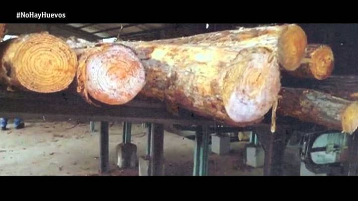 Fiesta suprema - Aserradero Reloaded