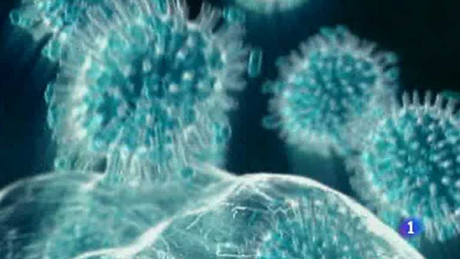 L'Informatiu - Comunitat Valenciana - 16/01/14 - Ver ahora