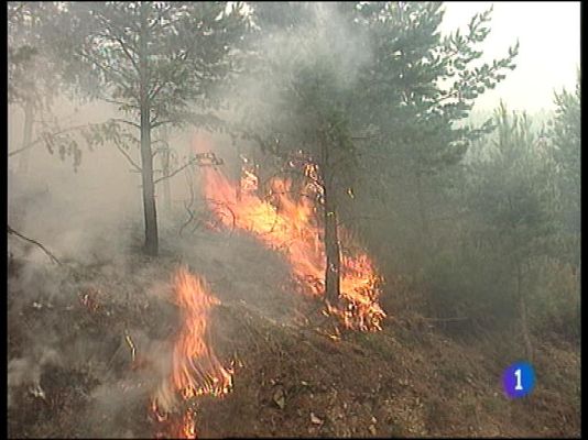 Panorama Regional - Panorama Regional 2 - 16/01/14