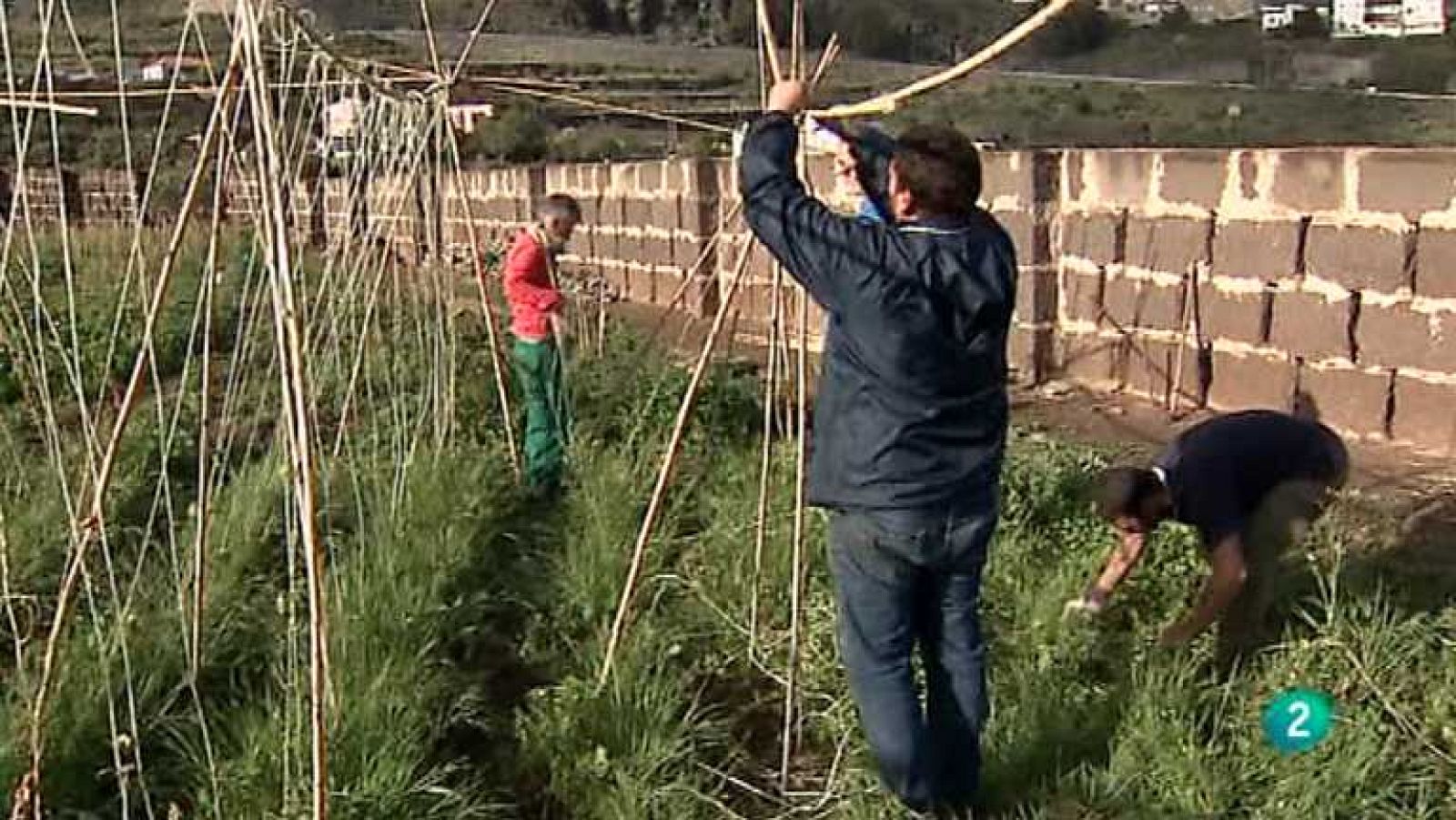 Aquí hay trabajo - 17/01/14 - Ver ahora