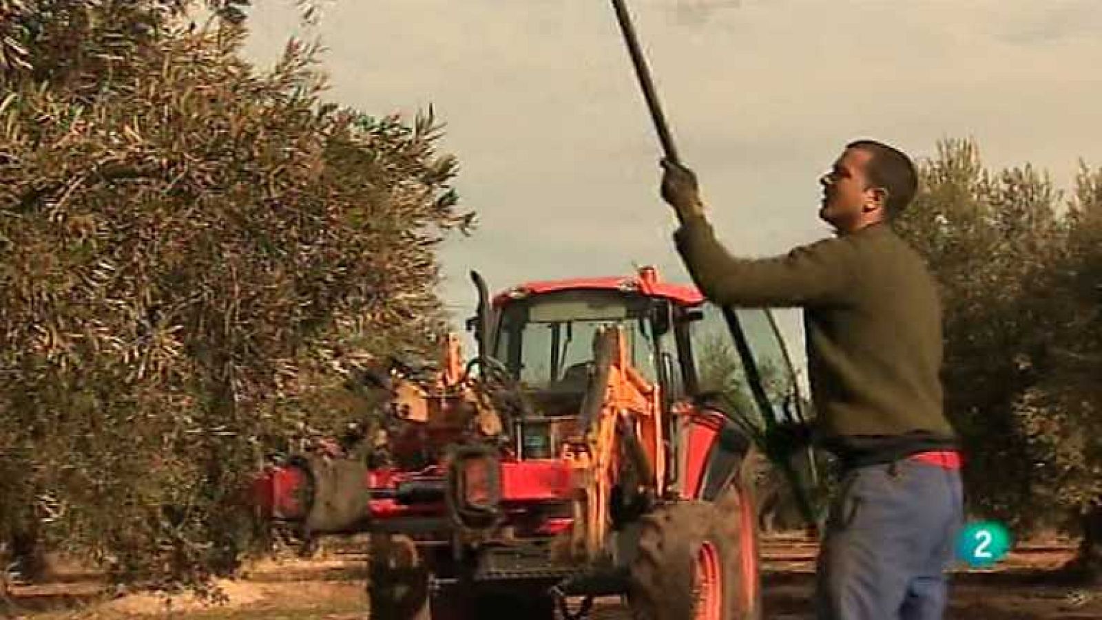 Agrosfera - 18/01/14 - ver ahora