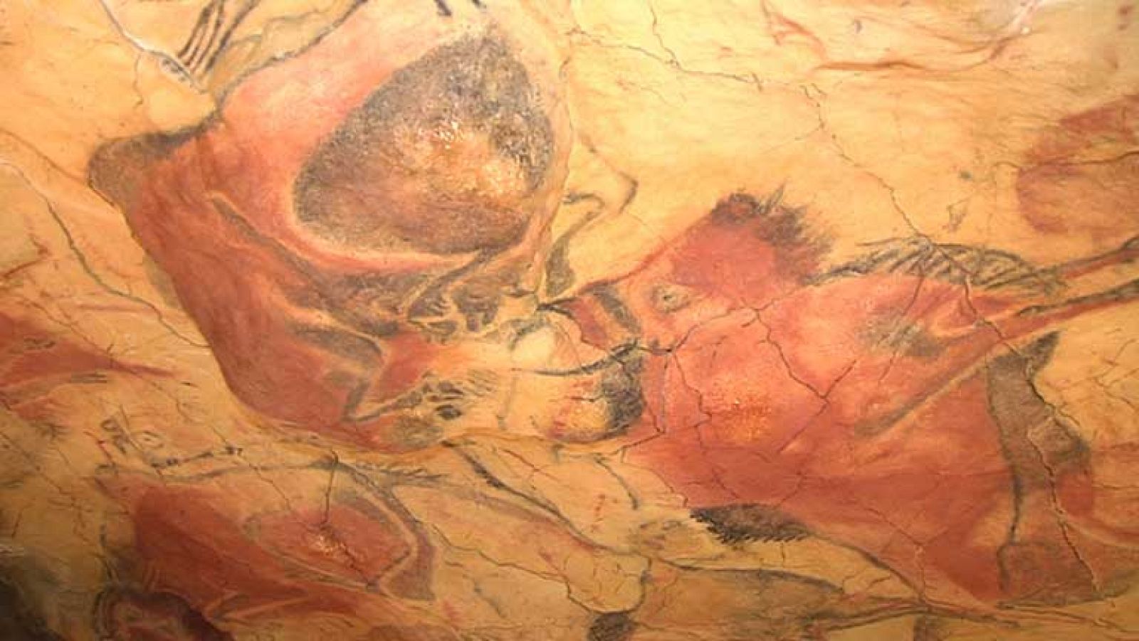 La cueva de Altamira abre sus puertas tras 12 años cerrada al público