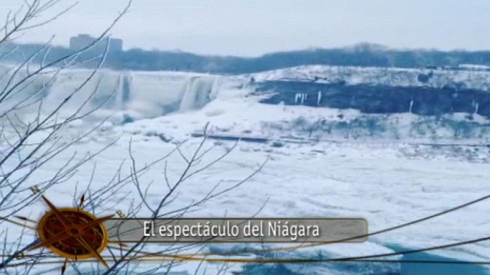 Teleplaneta - Teleplaneta - 18/01/14