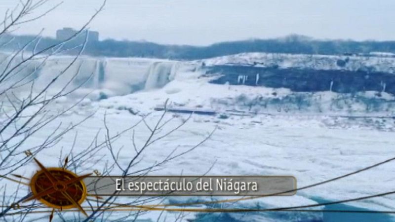 Teleplaneta - 18/01/14 - Teleplaneta | Ver