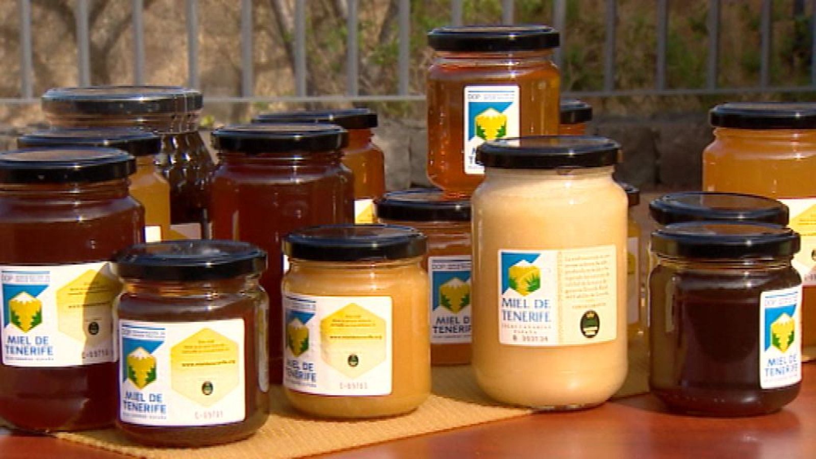 + Canarias Semanal - 19/01/14 - +Canarias | Ver