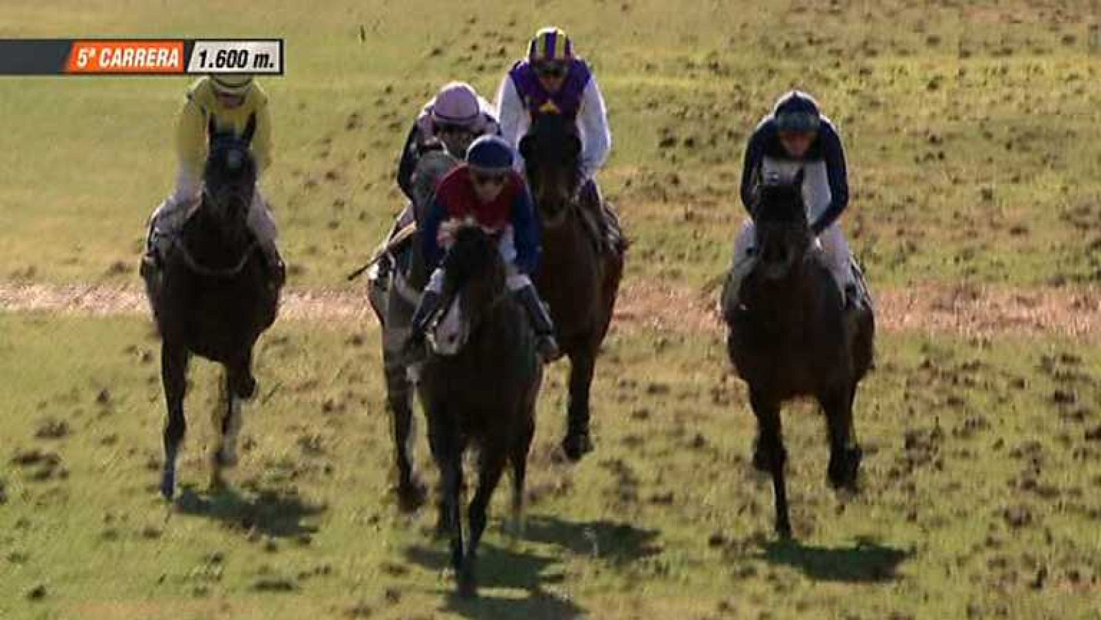 Turf - 19/01/14 - ver ahora