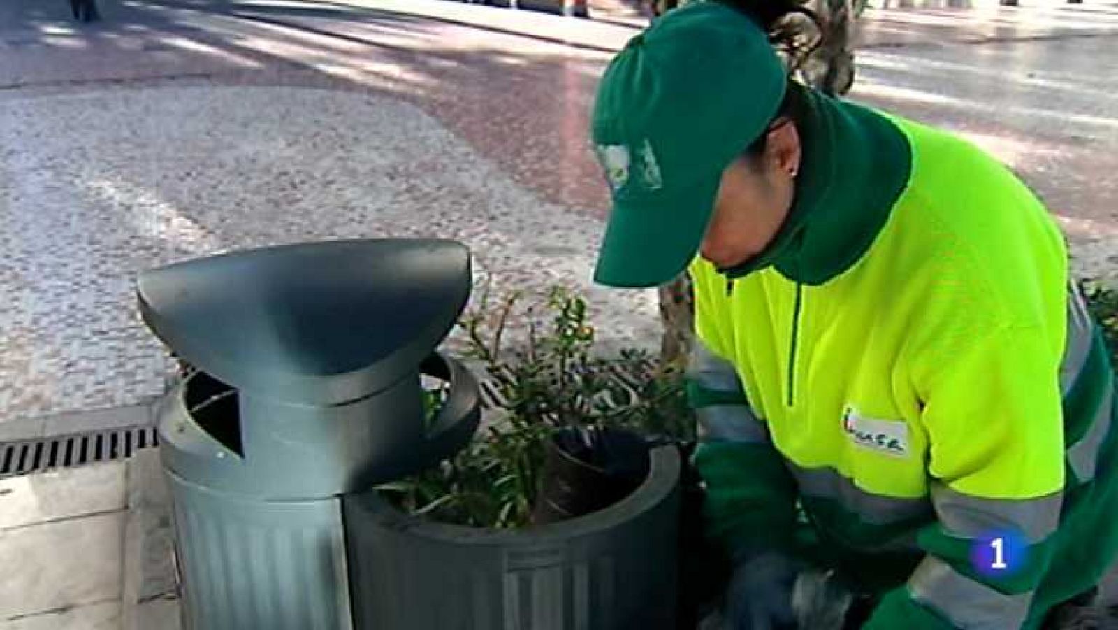 L'Informatiu - Comunitat Valenciana 2 - 20/01/14 - Ver ahora
