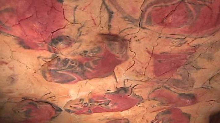 España en 24h - España en 24 horas - 20/01/14