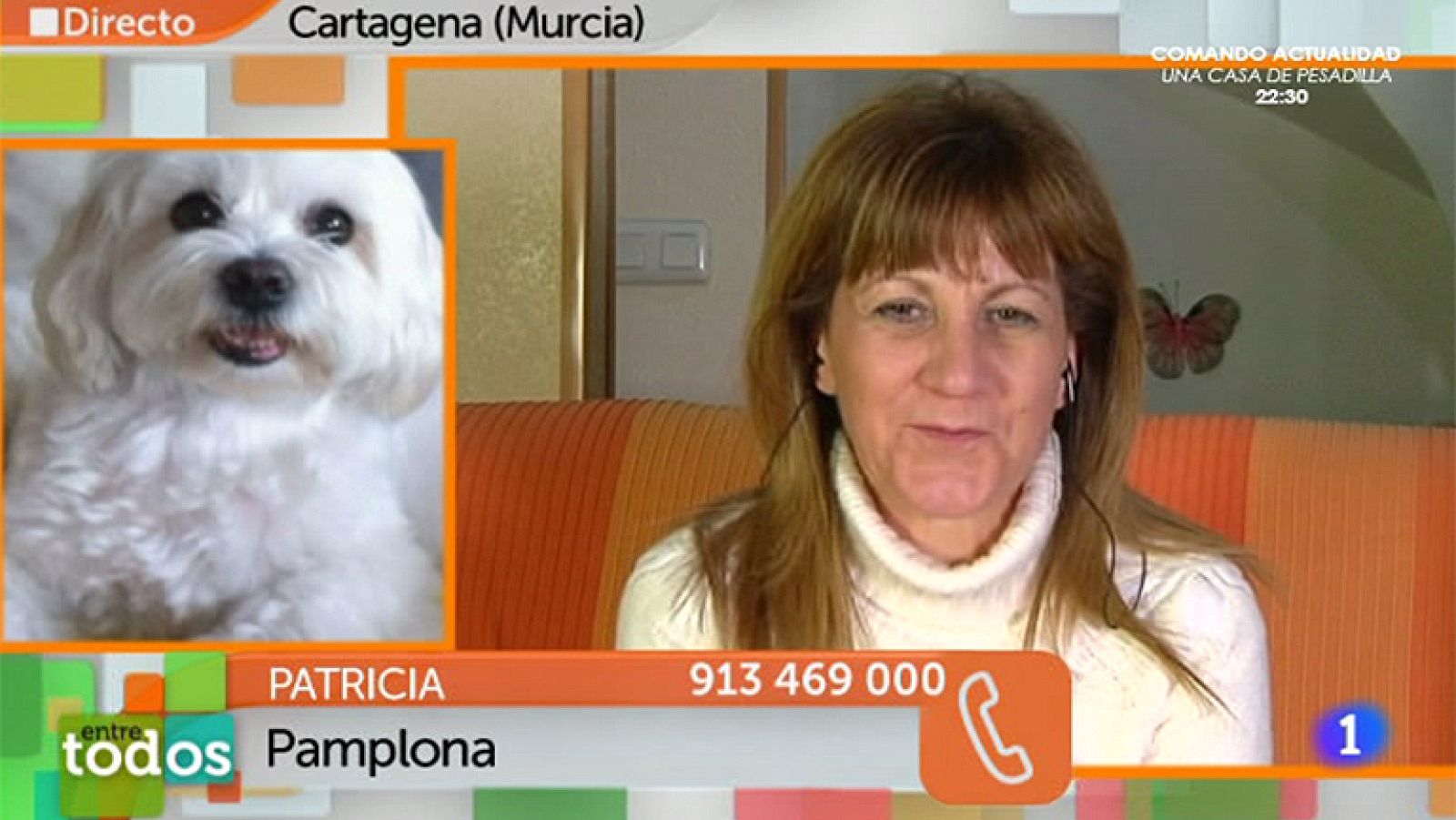 Entre Todos - Patricia regala un Bichón Maltés a Elena