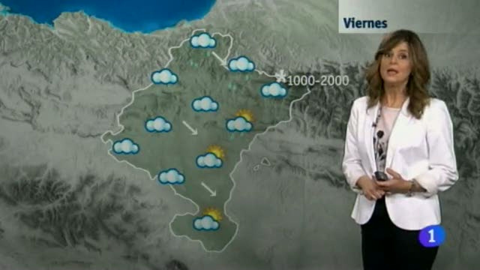 El tiempo en la Comunidad de Navarra - 24/01/2014 | Ver