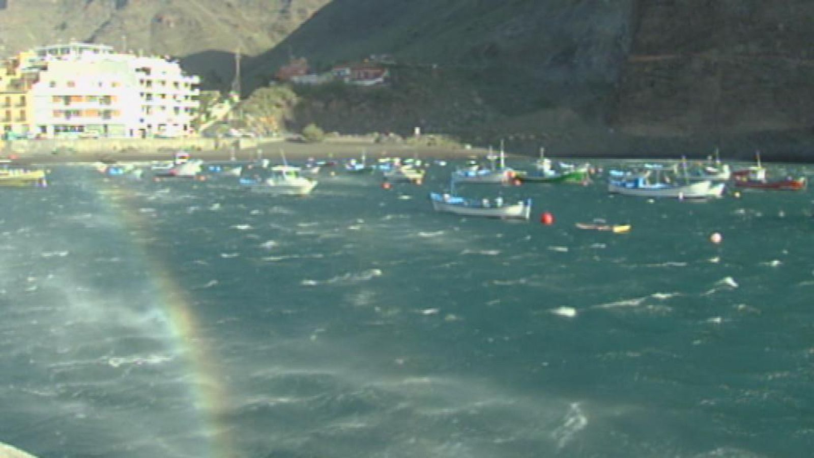 Telecanarias - 24/01/14 | Ver