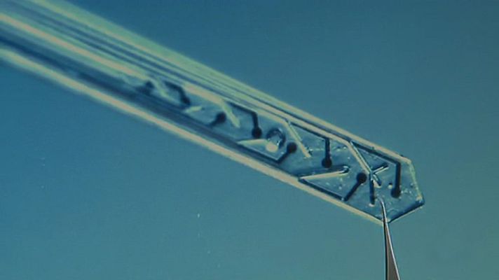 Telediario 1 - Microagujas que miden la actividad de las neuronas y depositan fármacos en el cerebro