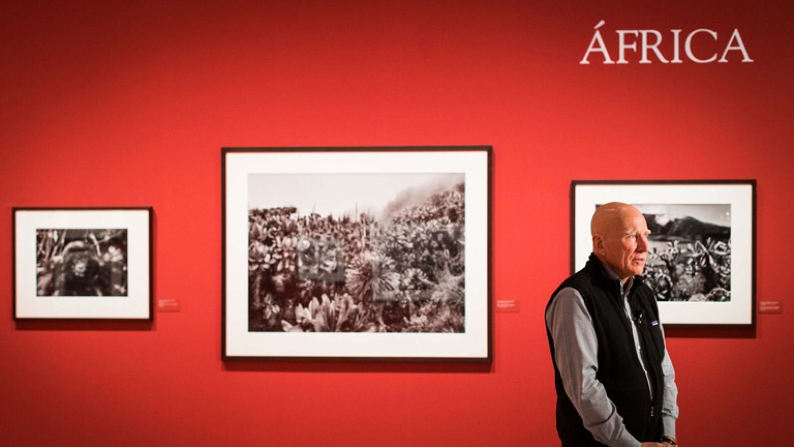 Sebastião Salgado busca el origen del planeta - Ver ahora