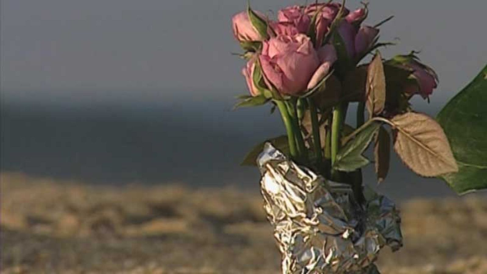 Los padres de los seis universitarios ahogados en Meco, Portugal, dan un ultimatum a la policía y a la Universidad para que declare el único superviviente