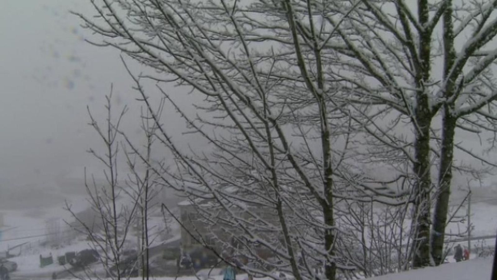 Teleplaneta - 25/01/14 - Teleplaneta | Ver