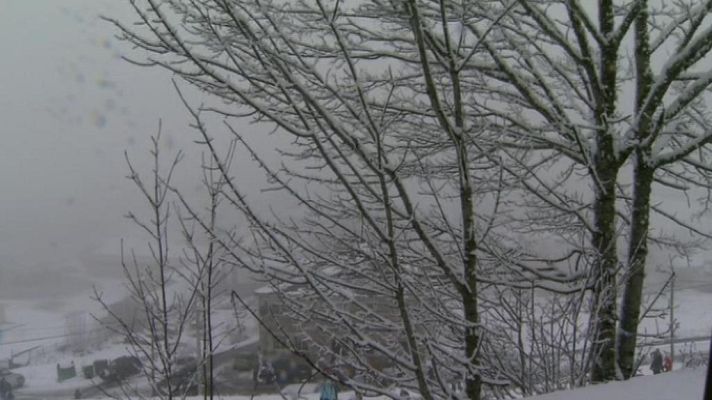 Teleplaneta - Teleplaneta - 25/01/14