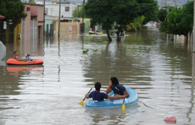  - Últimos coletazos de Dolly