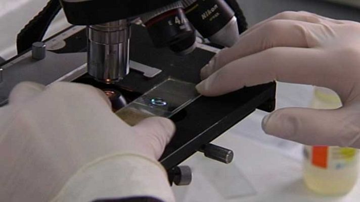 Telediario 1 - Día mundial contra la lepra