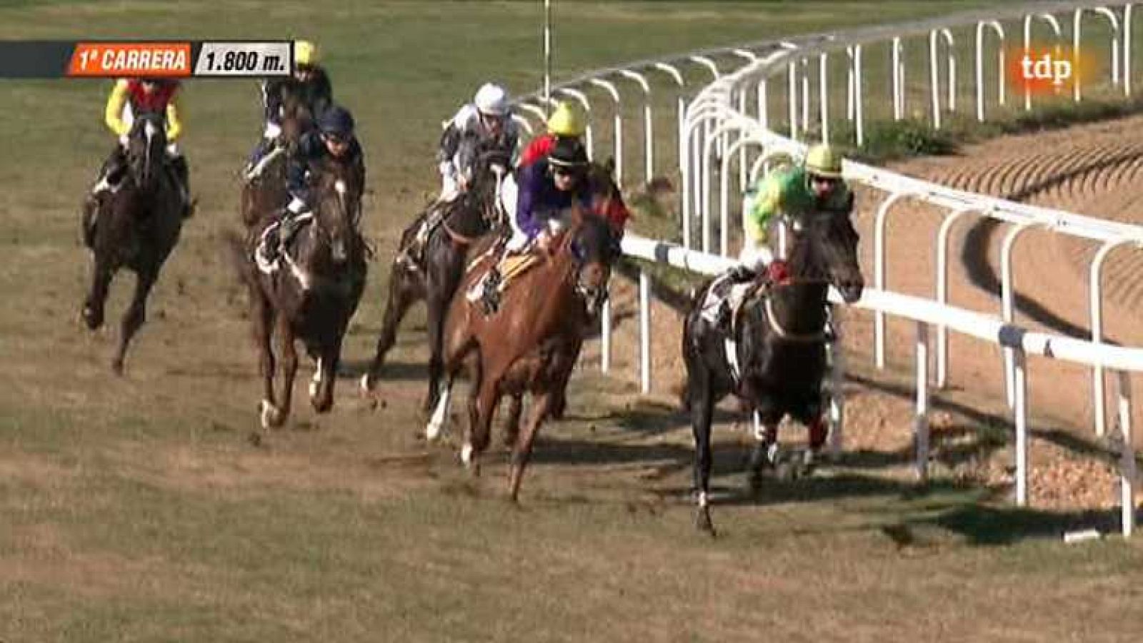 Turf - 26/01/14 - Ver ahora