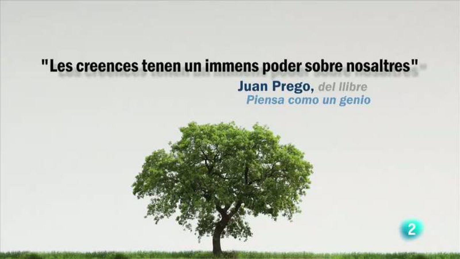 Tinc una idea - TUI - Juan Prego