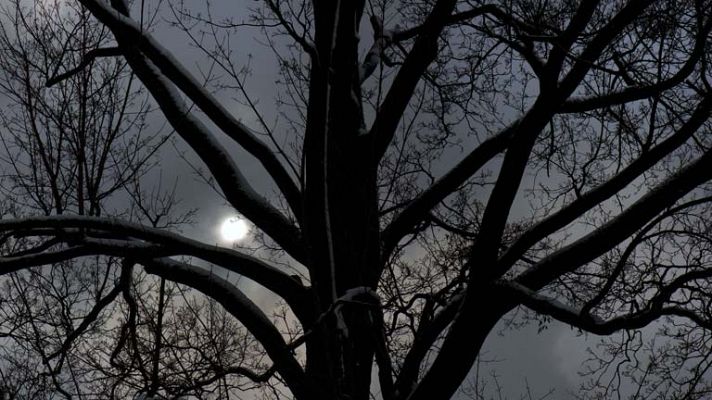 Informativo de Madrid - El tiempo en la Comunidad de Madrid - 28/01/14