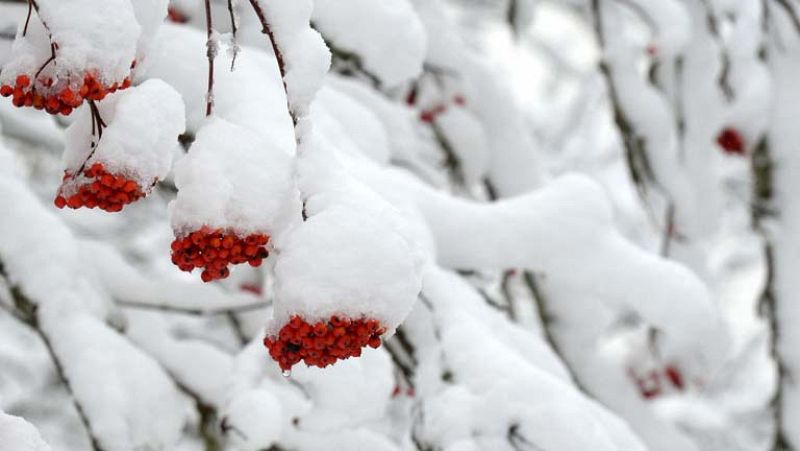 Bajará la cota de nieve y habrá viento fuerte en Canarias y el norte - El tiempo | Ver
