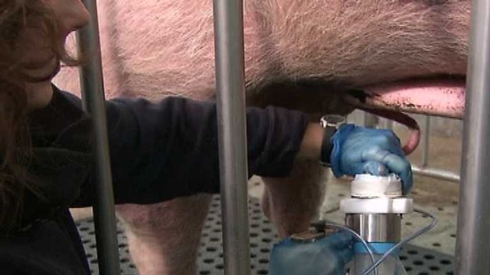 Aquí hay trabajo - Aquí hay trabajo - 29/01/14