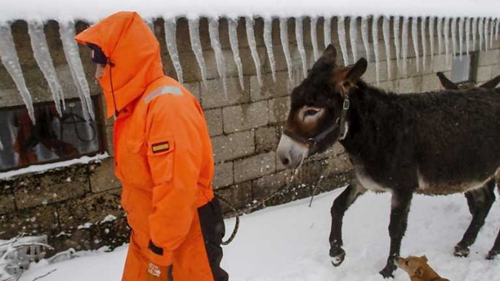 Telediario - 15 horas - 29/01/14 - Ver ahora