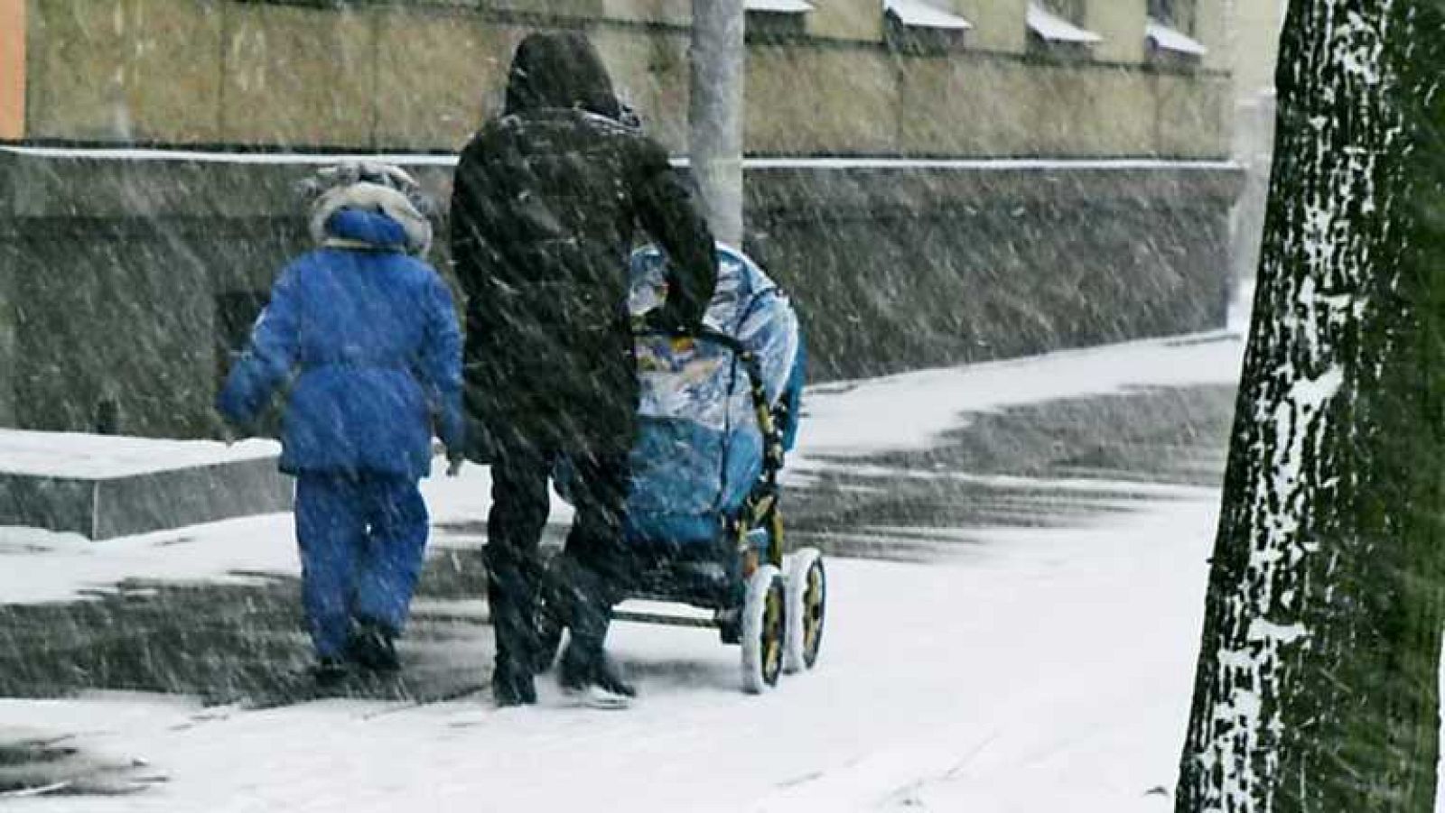 Comando Actualidad - Bajo cero - Ver ahora